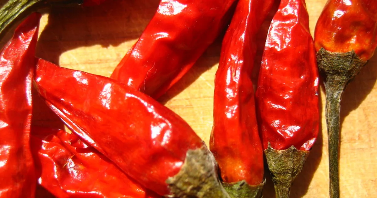A csípős ételek és az agy: miért szeretjük a capsaicint